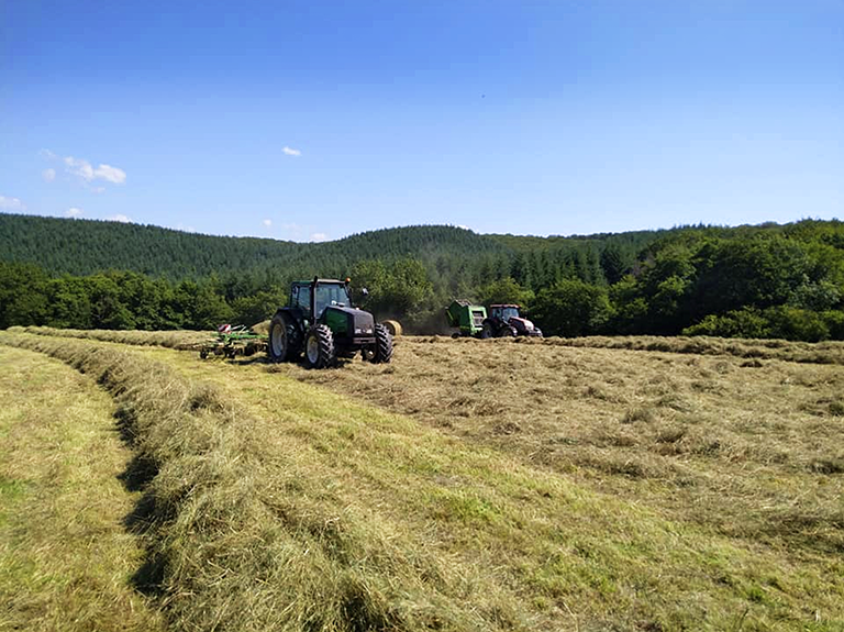 Ferme de la Métairie