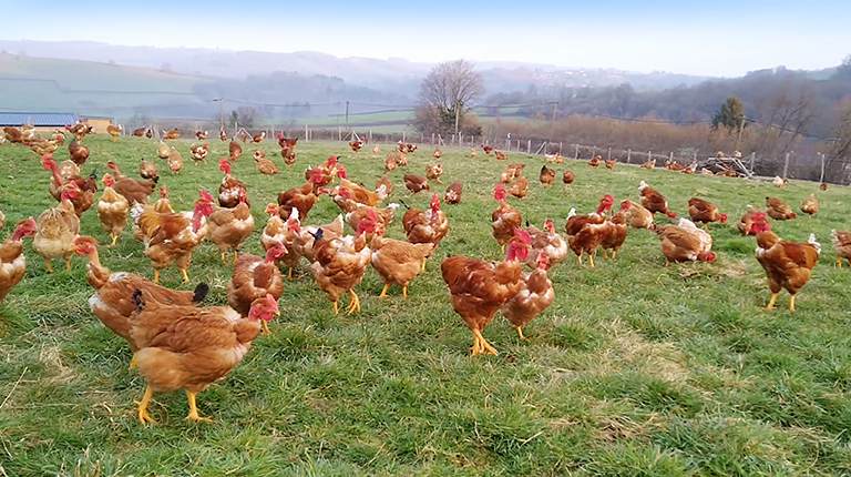 Ferme de la Métairie