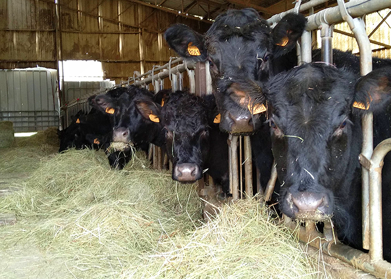 Ferme de la Métairie